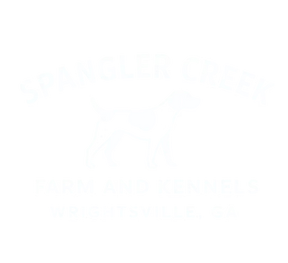 Spangler Creek, Wrightsville, Georgia SAYJAYstudio